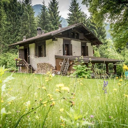 兰佐莫蒂坎塞Chalet Silenthia别墅 外观 照片